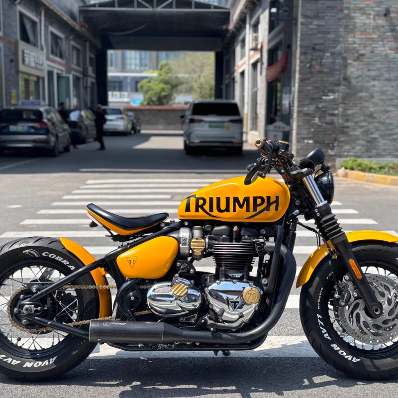 Penjaga Belakang Triumph Bobber