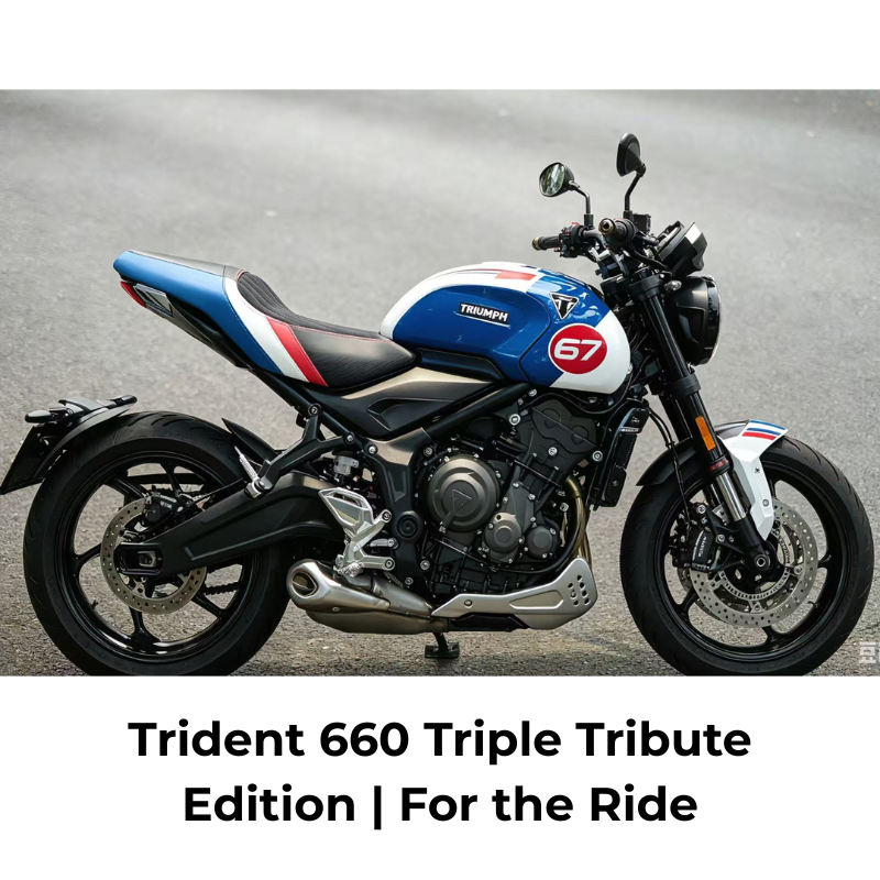 Selle custom TRIUMPH Trident 660