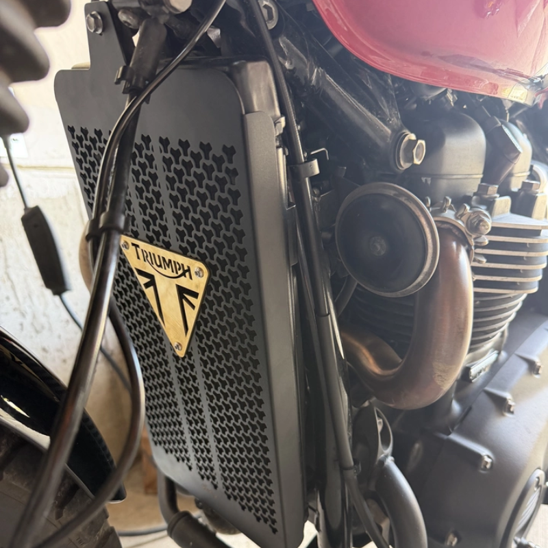 Triumph radiator protection grid (2016+)