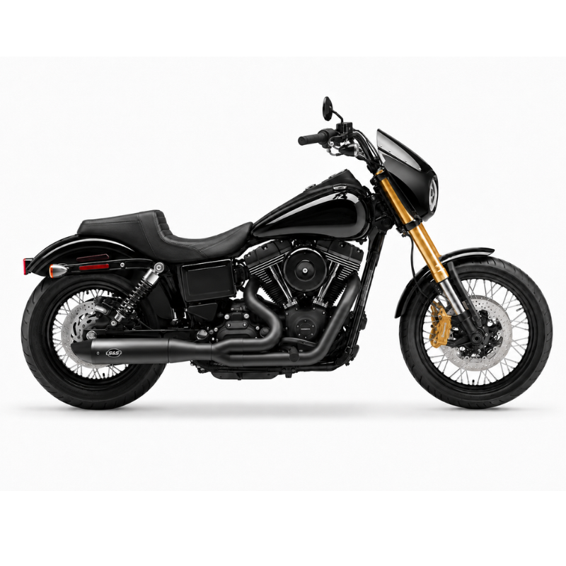 Inverted fork for Harley-Davidson DYNA