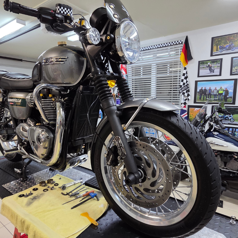 Réflecteurs de fourche pour  Triumph Classic