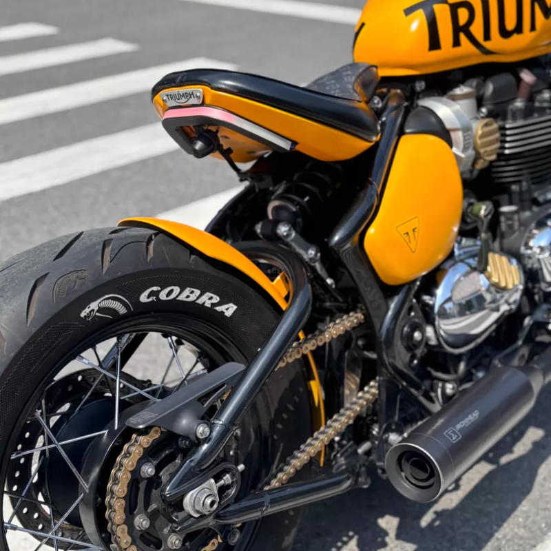 Garde Arrière Triumph Bobber