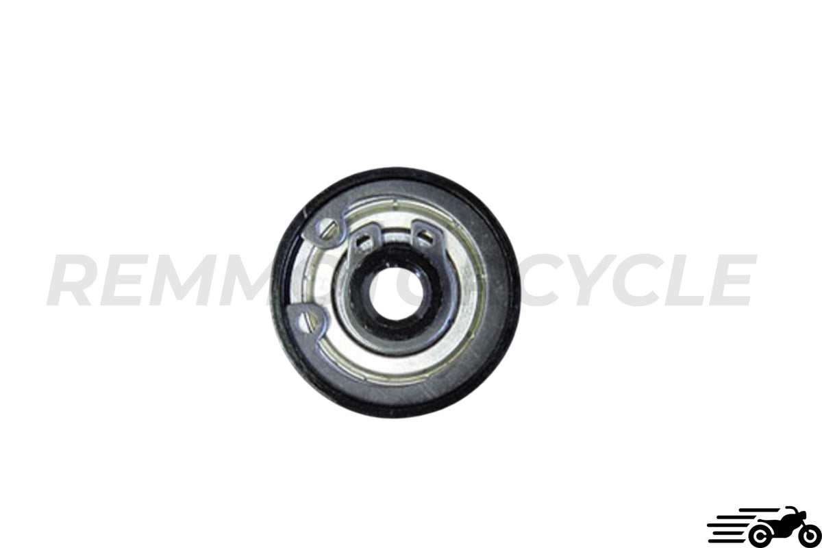 Harley Davidson internal accelerator