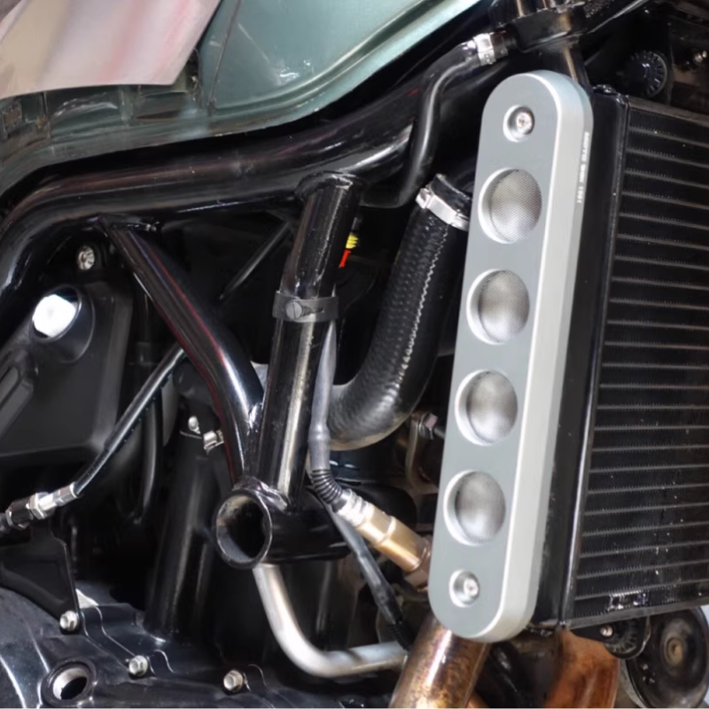 Benelli Leoncino 500 side covers