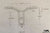Guidon Clubstyle 28 / 22 mm
