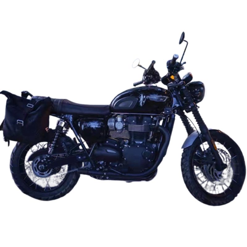 Paire de jantes à rayon tubeless Triumph T100 T120