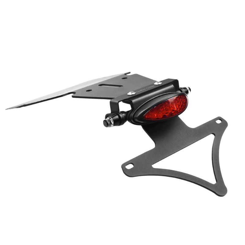 Support de plaque court Triumph T100 T120